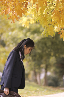 电影河豚